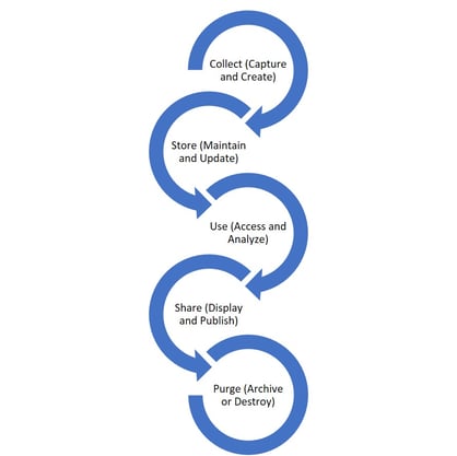 DataManagementLifecycle